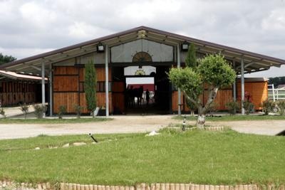 Ecuries, centre de dressage et d'élevage de chevaux