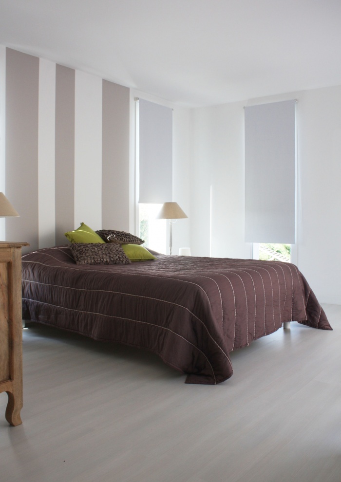 Extension maison individuelle  Aigues-Vives (30) : 04