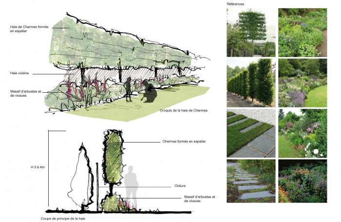 Squences - Amnagement d'un jardin en lanire  Lesquin : 15